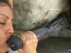 A horse breeder in the stable having sex with a horse